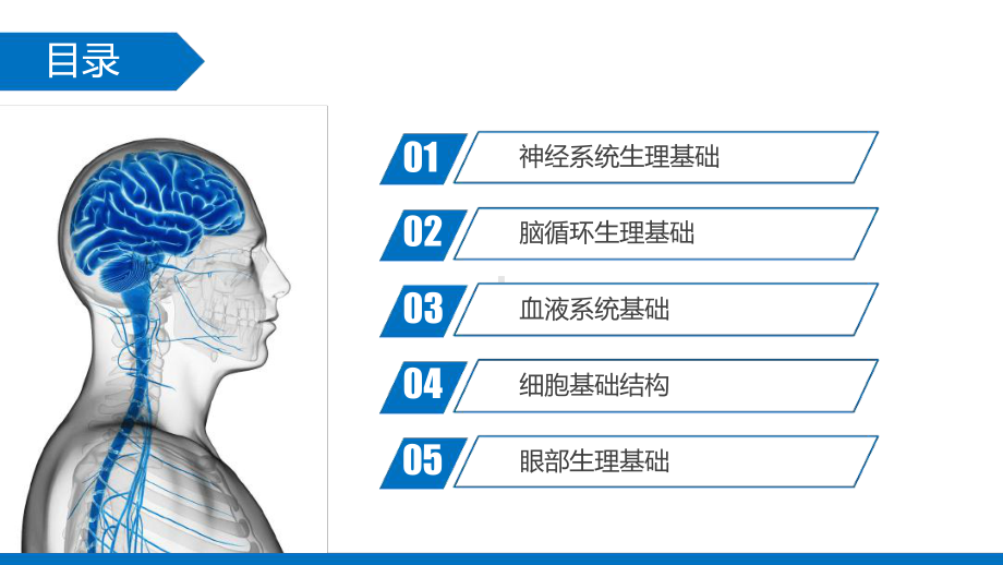 完整版神经系统基础知识课件.ppt_第3页