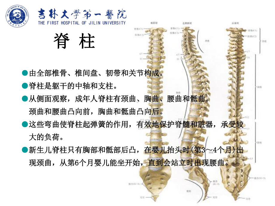 脊柱旁神经阻滞PPT课件.ppt_第2页