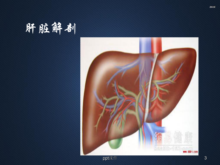 肝癌病人护理-ppt课件.ppt_第3页