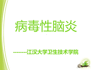 病毒性脑炎的护理措施课件.ppt