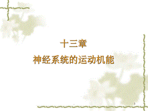 神经系统的运动ppt课件.ppt