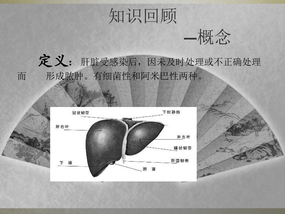 肝脓肿护理查房课件.ppt_第3页