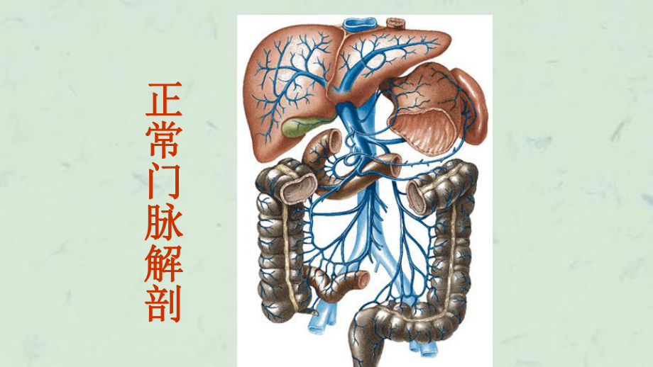 肝硬化食管胃底静脉曲张大出血介入治疗课件.ppt_第2页