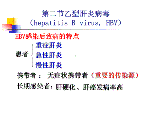 乙型肝炎病毒-ppt课件.ppt