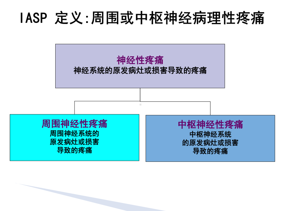 神经调制技术在慢性疼痛中的应用课件.ppt_第2页