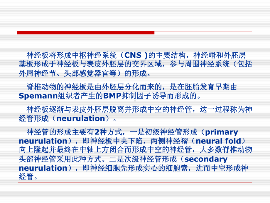 第十二章神经嵴的形成与神经系统发生分析课件.ppt_第3页