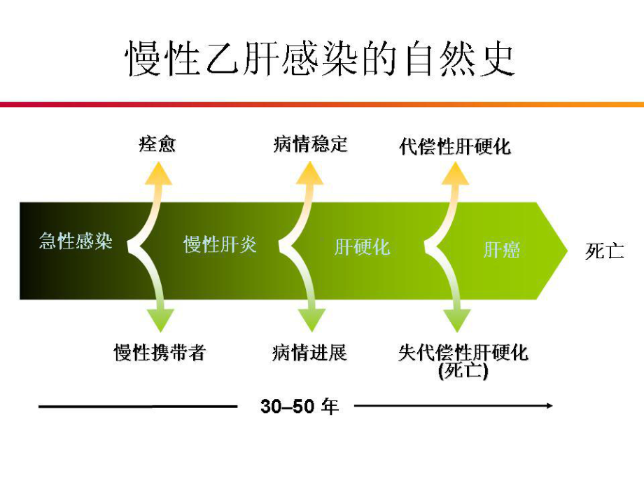 病毒性肝炎的治疗课件.ppt_第3页