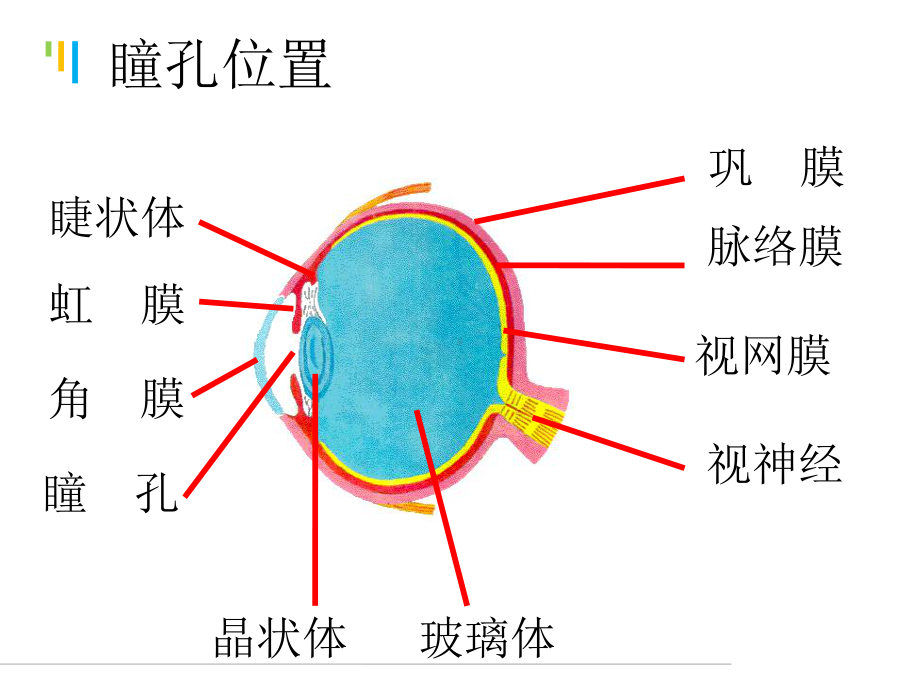 神经外科医疗护理小讲课PPT培训课件.ppt_第3页