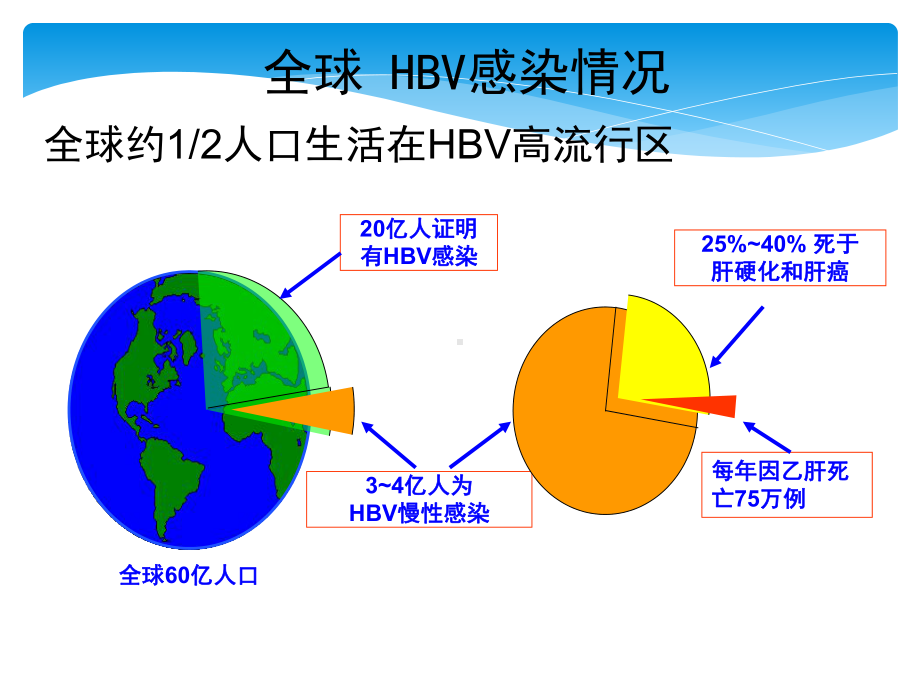 乙型肝炎流行病学课件.pptx_第2页