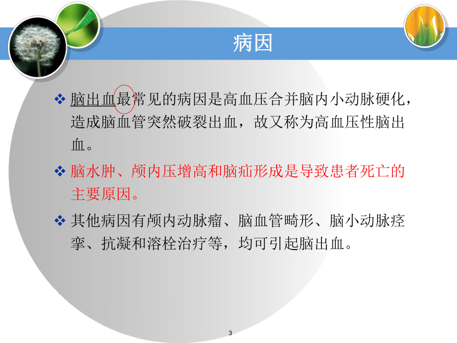 高血压脑出血的急救与护理ppt课件.ppt_第3页