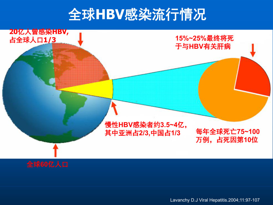 乙型肝炎医师规范化培训（PPT课件）.ppt_第3页