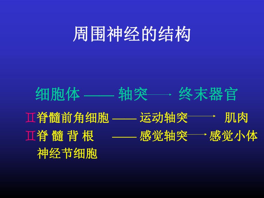 周围神经损伤的诊断与治疗（可编辑)课件.ppt_第2页