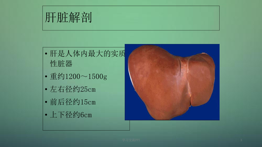 肝脏疾病课件ppt课件.ppt_第3页