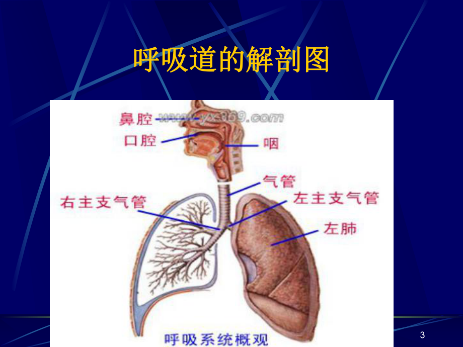 脑卒中患者的呼吸道护理PPT课件.ppt_第3页