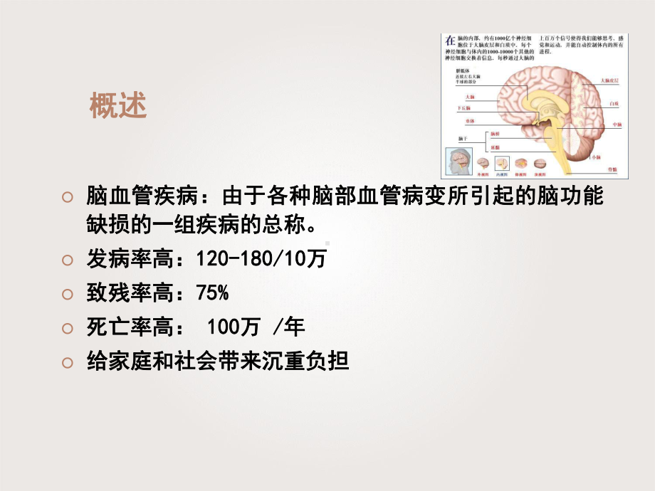 脑血管疾病患者护理-ppt课件.ppt_第2页