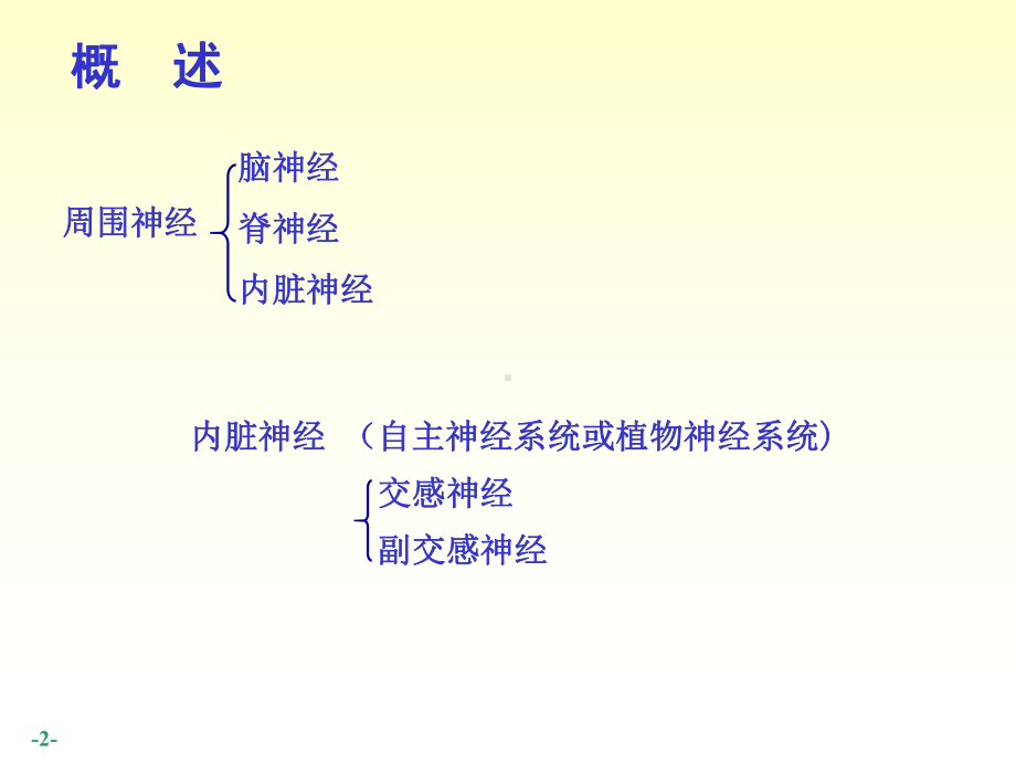 周围神经系统课件.ppt_第2页