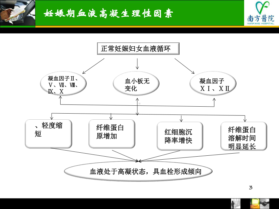 低分子肝素在产科应用课件.ppt_第3页