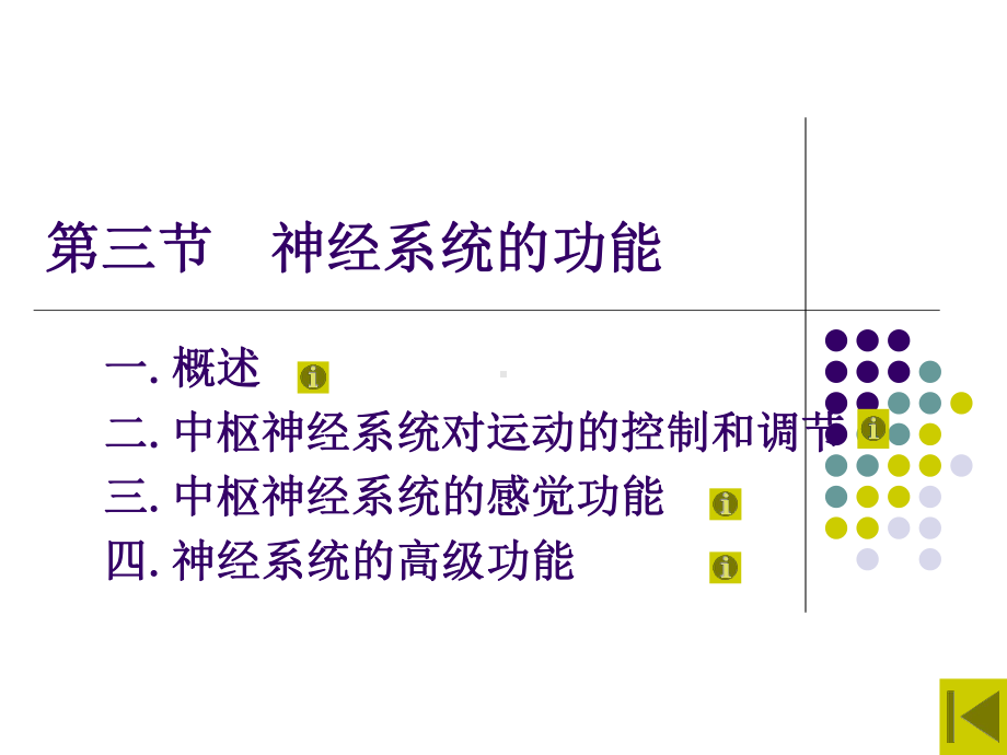 人体解剖生理学第六章神经系统(功能)课件.ppt_第3页