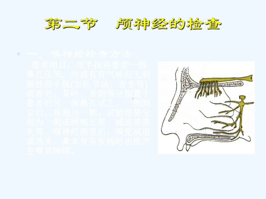 神经定位诊断学课件.ppt_第3页