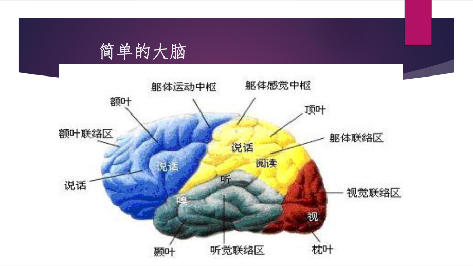 老年人脑血管病的预防课件.ppt_第3页