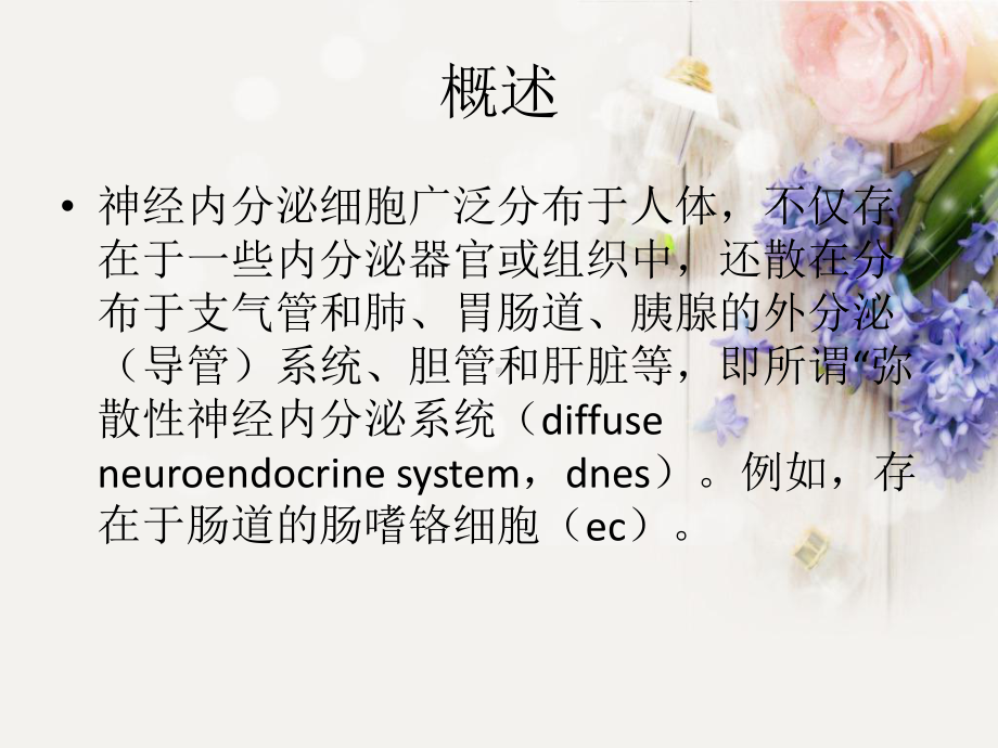 神经内分泌肿瘤ppt课件.pptx_第2页