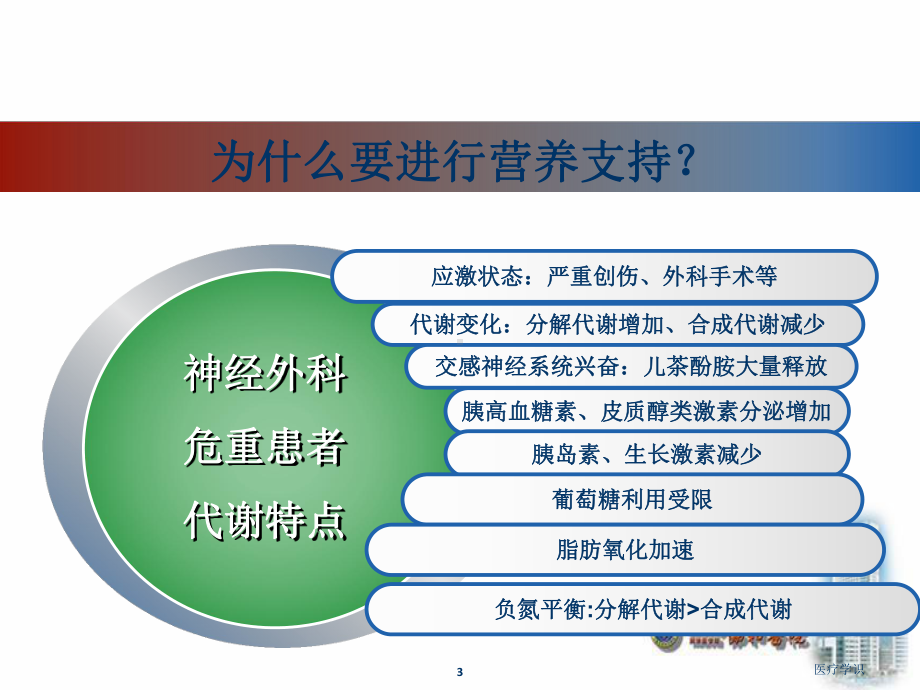 神经外科危重患者的肠内营养护理.ppt_第3页