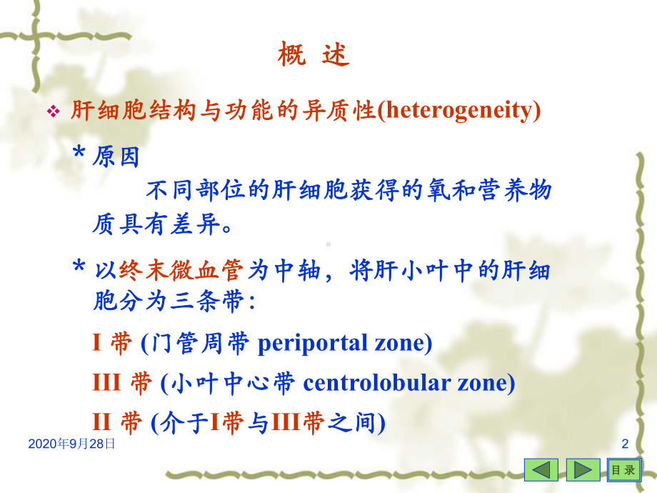 沈阳药科大学生物化学课程-第17篇-肝脏生化P课件.ppt_第2页