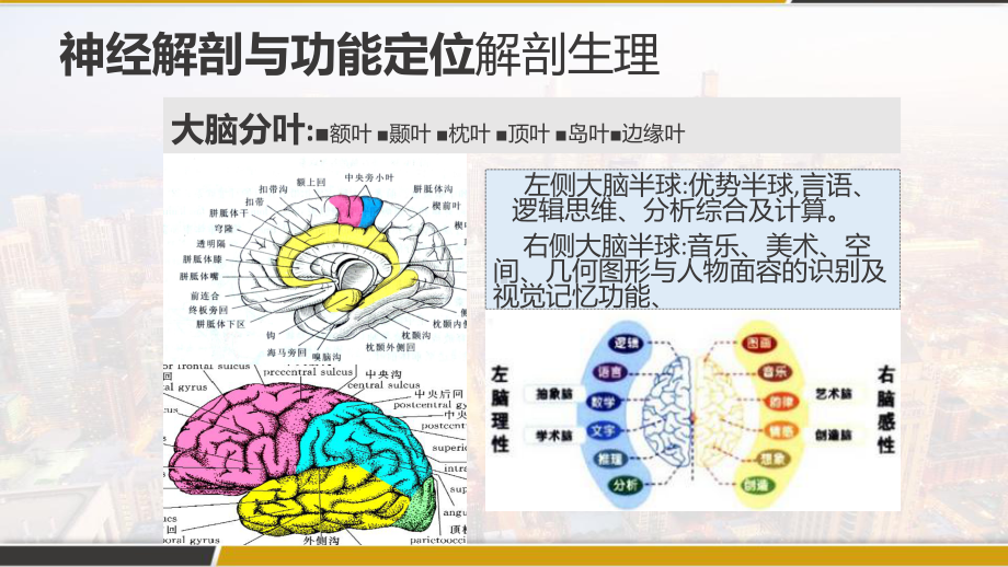 脑血管疾病定位诊断-PPT课件.pptx_第3页