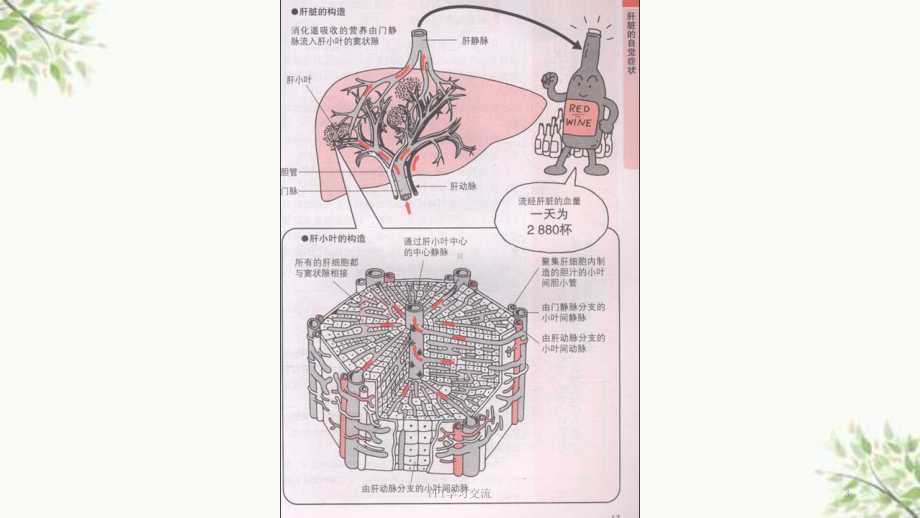 肝衰竭的护理课件.ppt_第3页