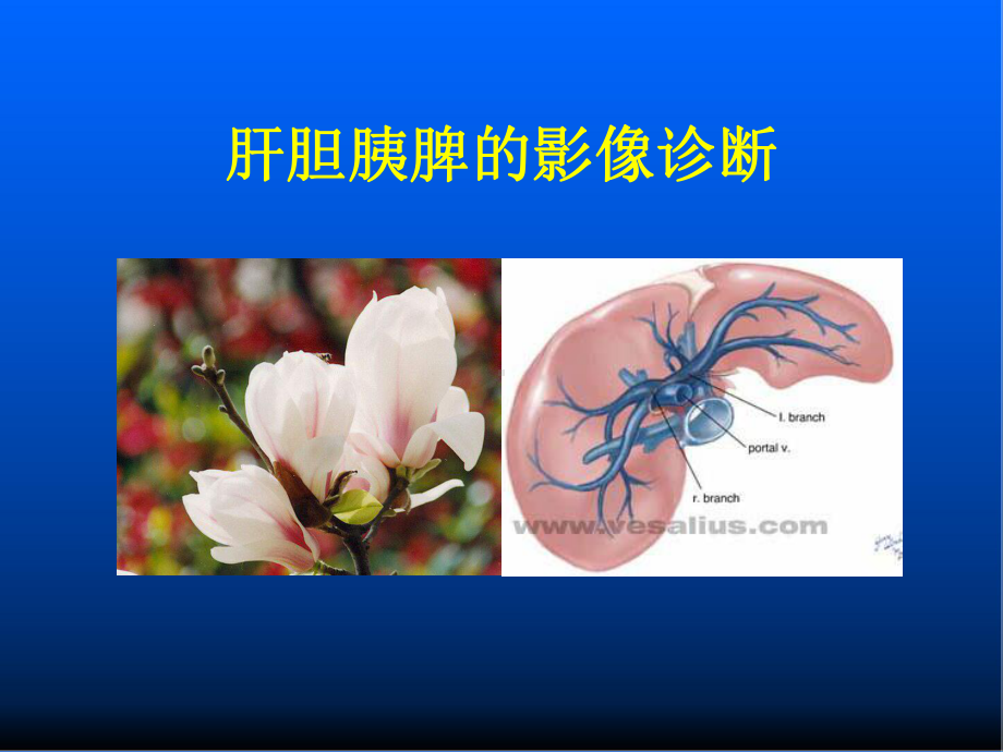 医学影像学-肝胆胰脾的影像诊断-ppt课件.ppt_第1页