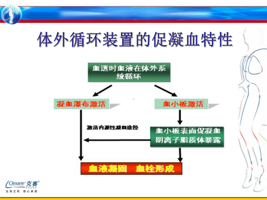 《依诺低分子肝素在血透中的应用》精品讲稿课件.ppt_第3页