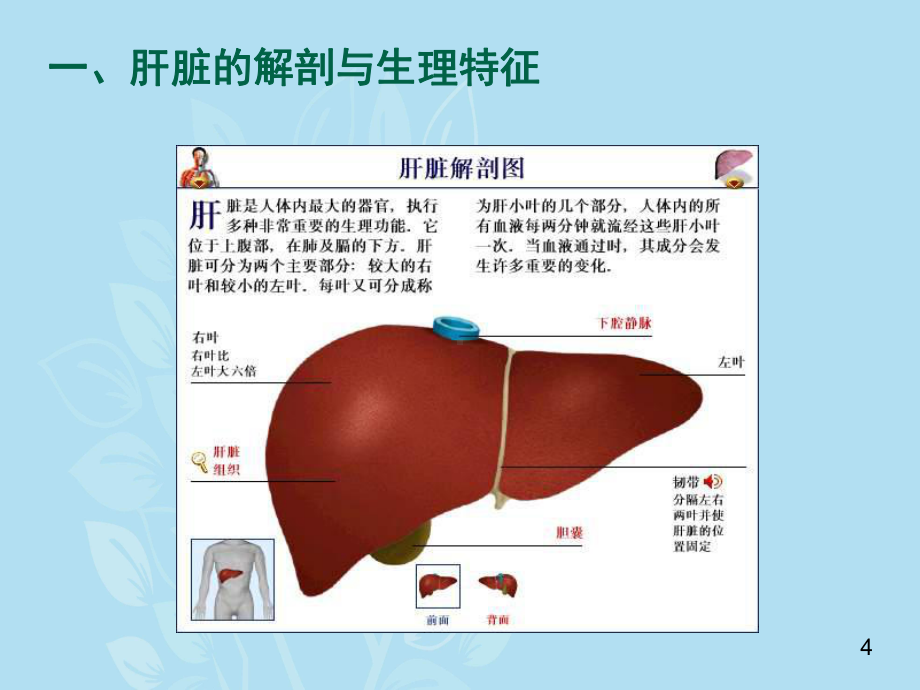 重症患者的急性肝损伤和急性肝衰竭治疗原则和相关技课件.ppt_第3页