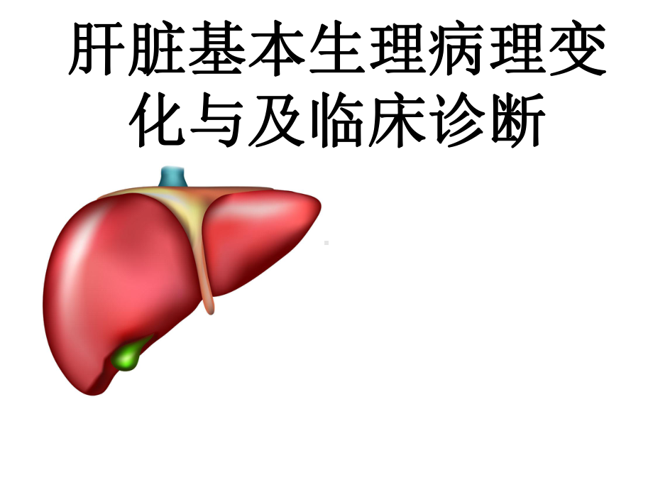 肝脏基本生理病理变化与及临床诊断课件.ppt_第1页