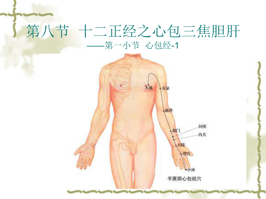 中医培训教程之心包经三焦经胆经肝经-PPT课件.ppt_第2页