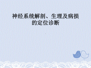 神经系统解剖、生理及病损的定位诊断课件.ppt