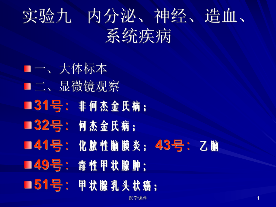 《病理学》实验-内分泌-淋巴造血-神经系统-P课件.ppt_第1页