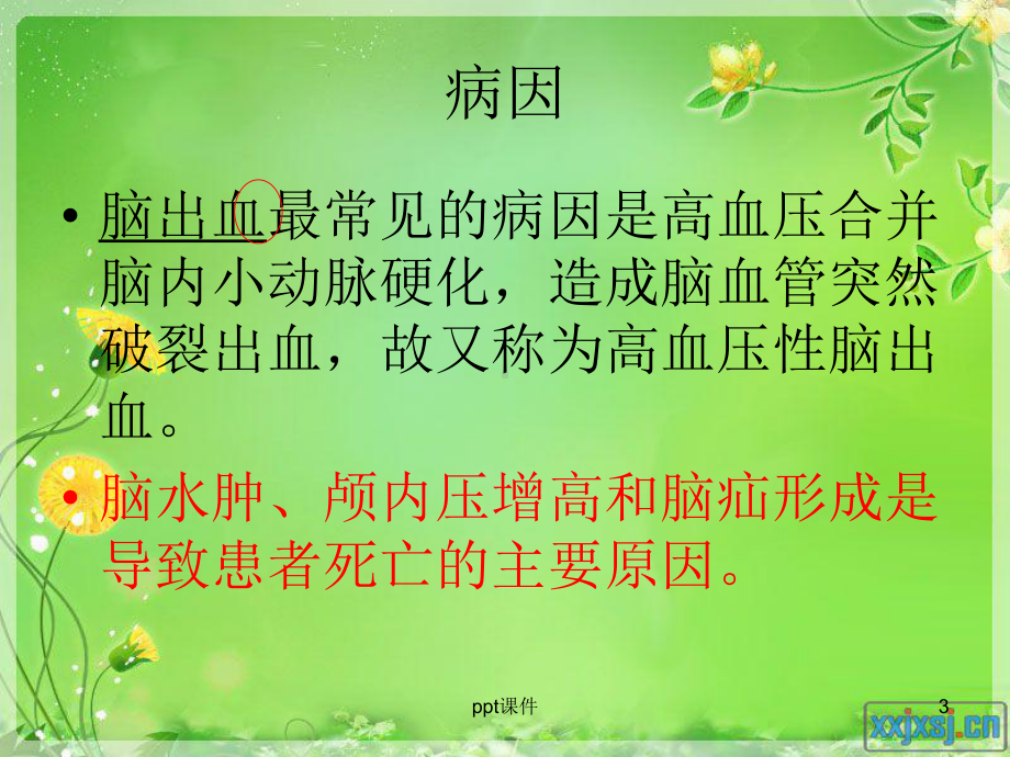 高血压脑出血术后的护理-ppt课件.ppt_第3页