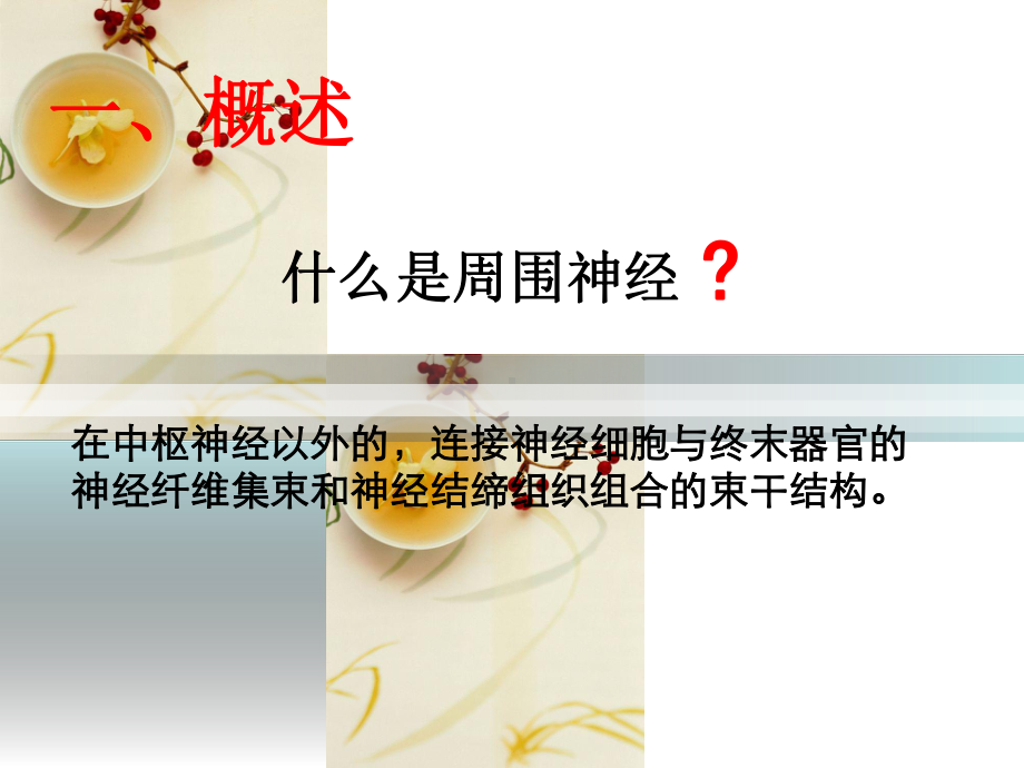 周围神经损伤课件.ppt_第2页