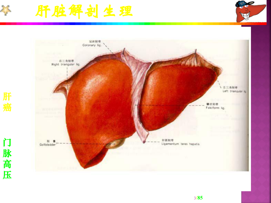 肝疾病病人的护理ppt课件.pptx_第3页