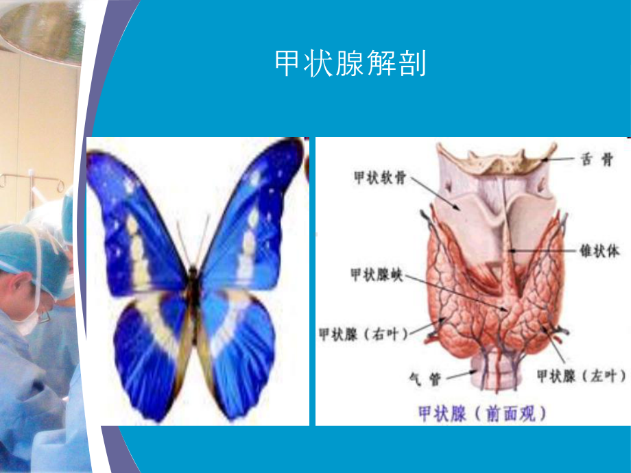 甲状腺癌根治术中喉返神经监测技术的应用PPT课件.ppt_第2页