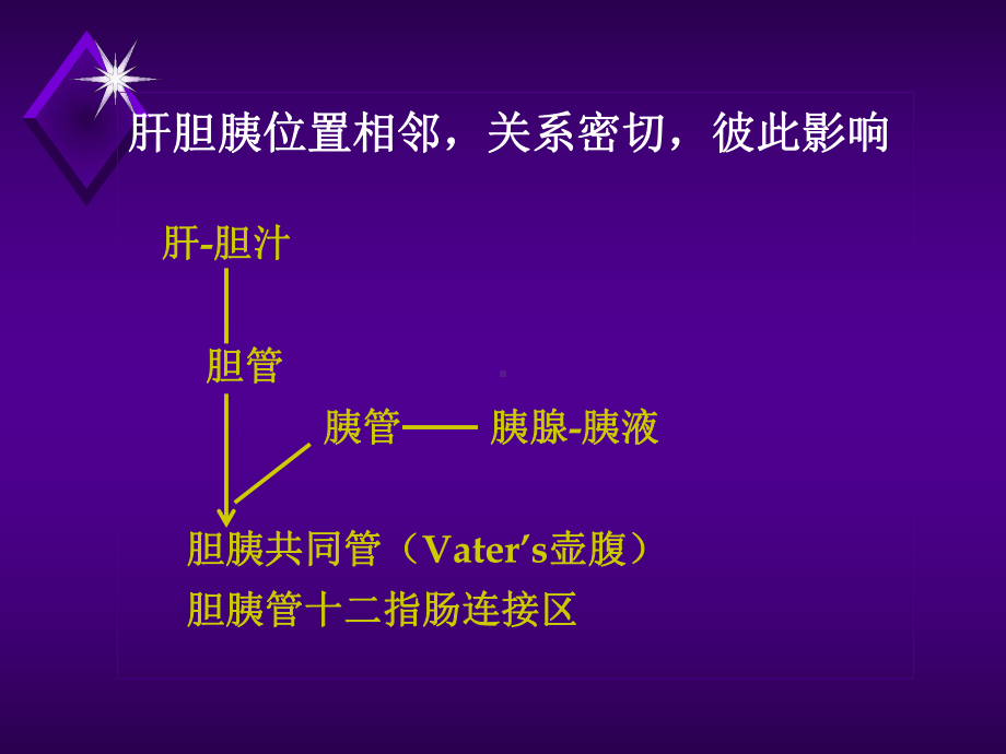 放射诊断-肝胆胰课件.ppt_第2页