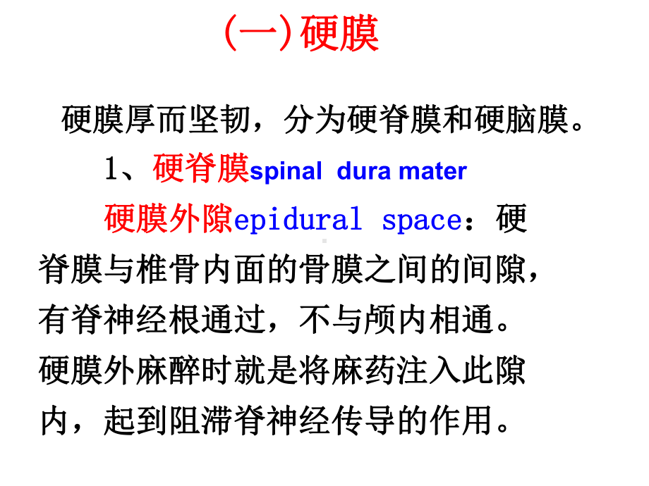 脑和脊髓的被膜课件.ppt_第3页