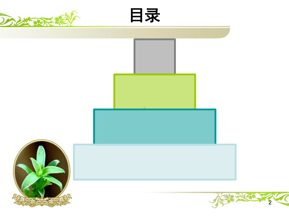 大面积脑梗死护理查房PPT课件.ppt_第2页