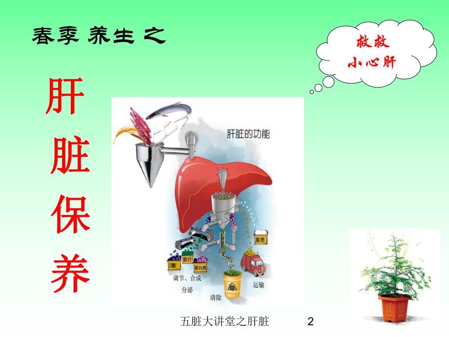 五脏大讲堂之肝脏培训课件.ppt_第2页