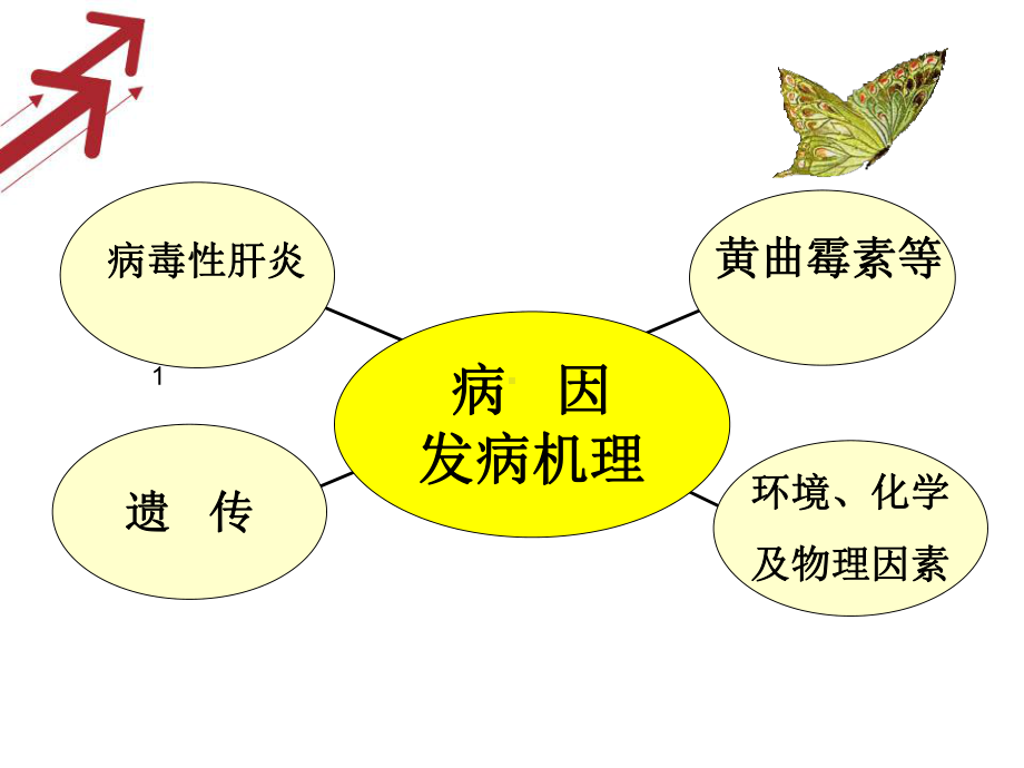 肝癌介入病人术后的护理PPT课件.ppt_第2页