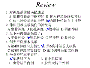 周围神经系统脑神经课件.ppt