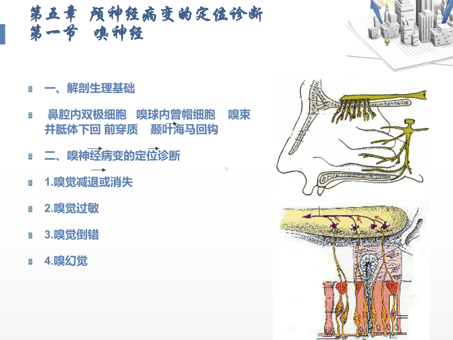 颅神经定位诊断-ppt课件.ppt_第2页