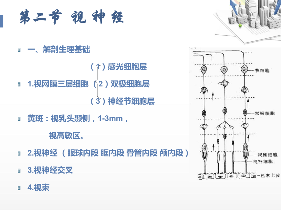 颅神经定位诊断-ppt课件.ppt_第3页