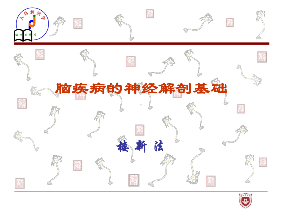 神经系统疾病解剖课件.ppt_第1页