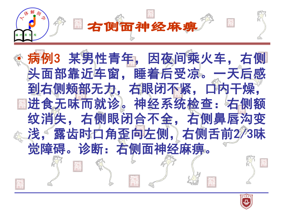 神经系统疾病解剖课件.ppt_第2页